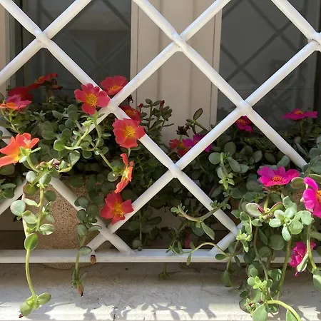 Apartamento The Painted House, Nei Vicoli Di Posto In Omaggio