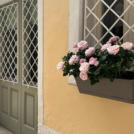 The Painted House, Nei Vicoli Di Posto In Omaggio * Sirolo